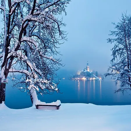 Trst - Sava & Bled